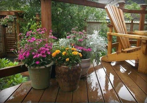 Alaska'S Capital Inn Bed And Breakfast (Adults Only) Juneau Exterior photo